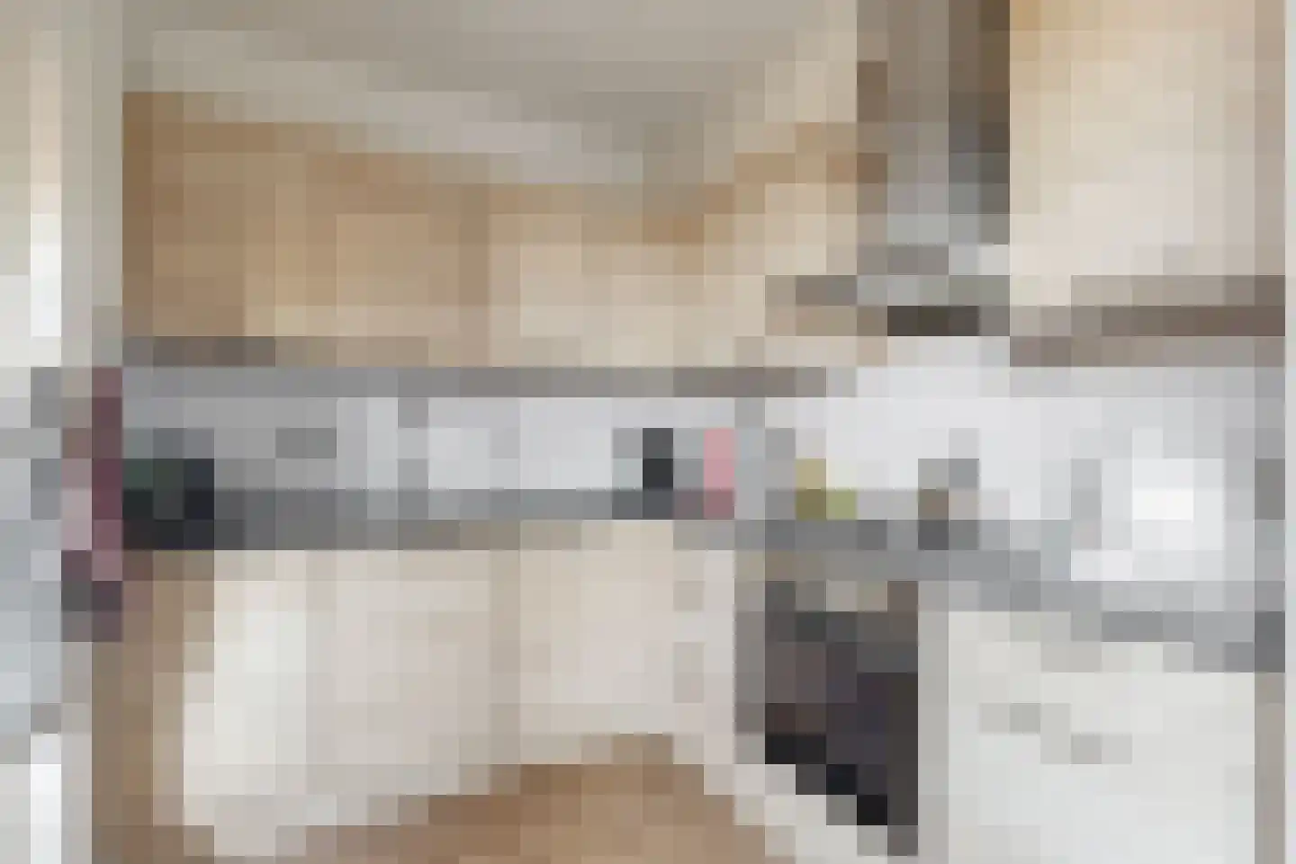 Benheuvel 1 Reuver thumbnail 11