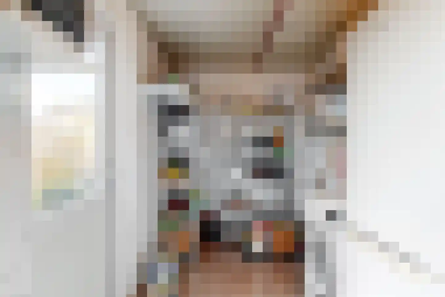 Benheuvel 1 Reuver thumbnail 12