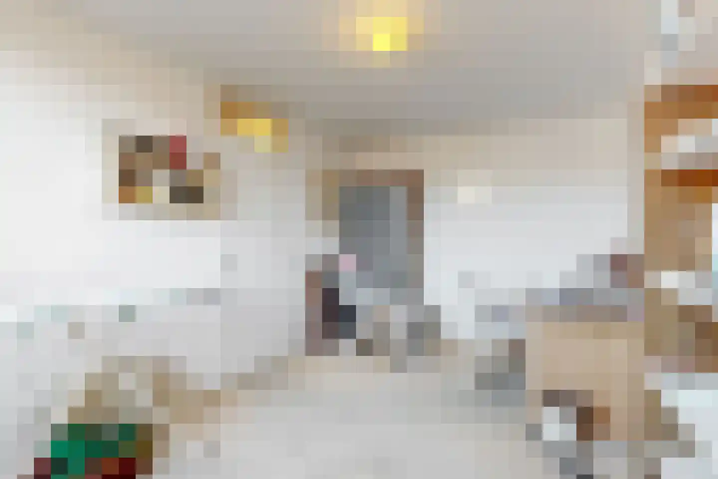 Benheuvel 1 Reuver thumbnail 17