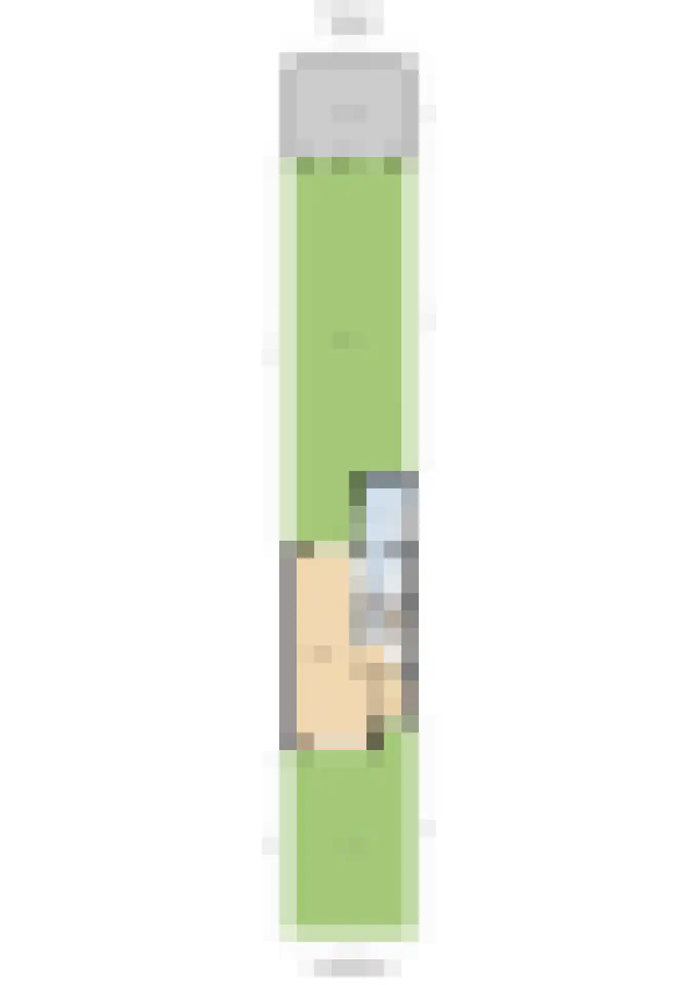Benheuvel 1 Reuver thumbnail 35