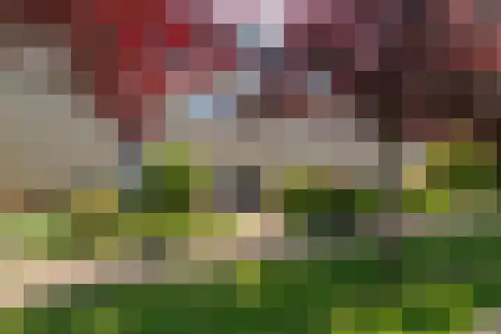 Benjamin Merkelbachstraat 1 in Oegstgeest