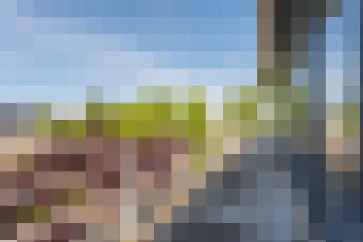 Benjamin Merkelbachstraat 1 Oegstgeest thumbnail 22