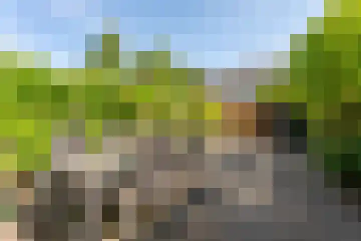 Benjamin Merkelbachstraat 1 Oegstgeest thumbnail 23