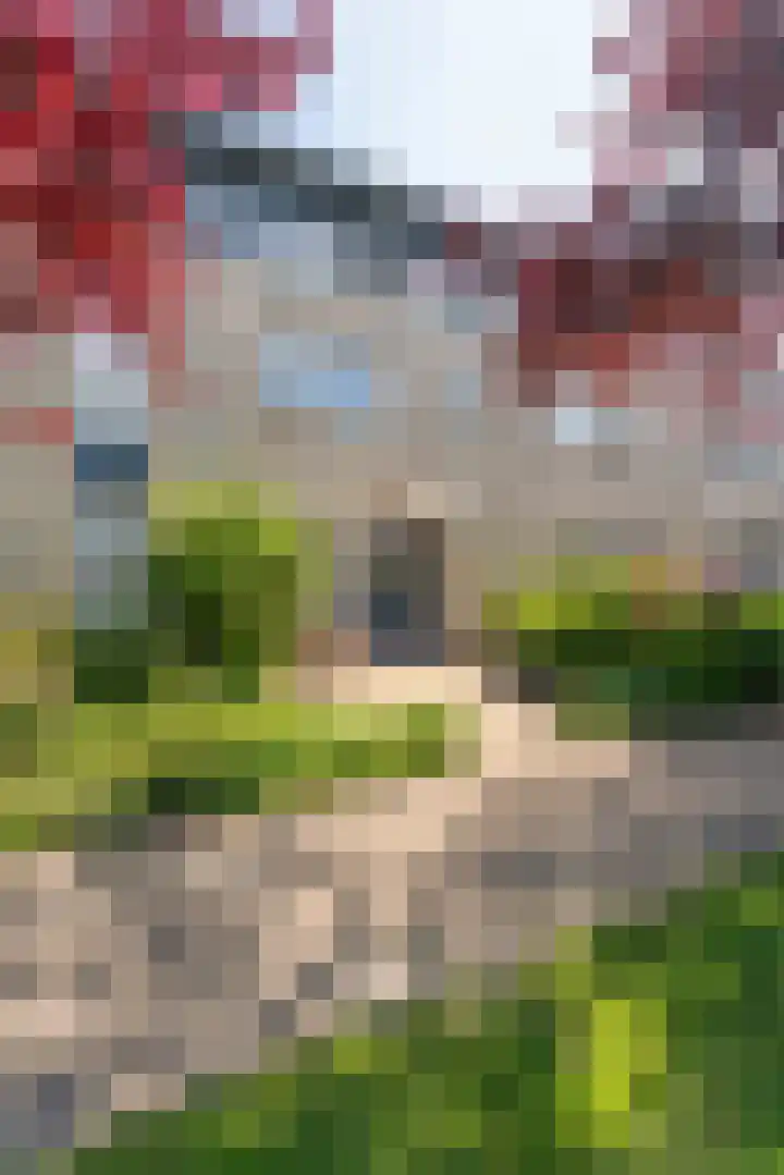 Benjamin Merkelbachstraat 1 Oegstgeest thumbnail 27