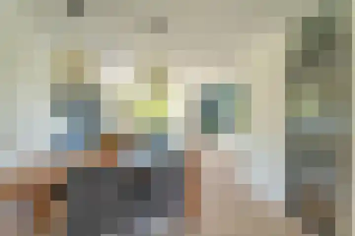 Benjamin Merkelbachstraat 1 Oegstgeest thumbnail 8