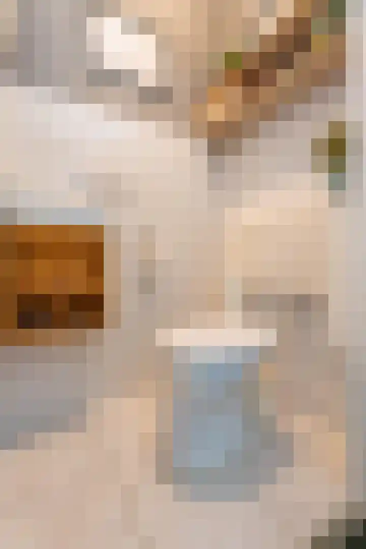 Benjamin Merkelbachstraat 1 Oegstgeest thumbnail 9