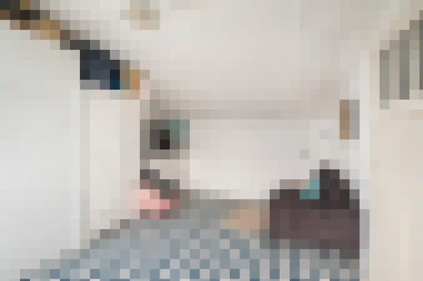 Benjamin Merkelbachstraat 5 Oegstgeest thumbnail 29