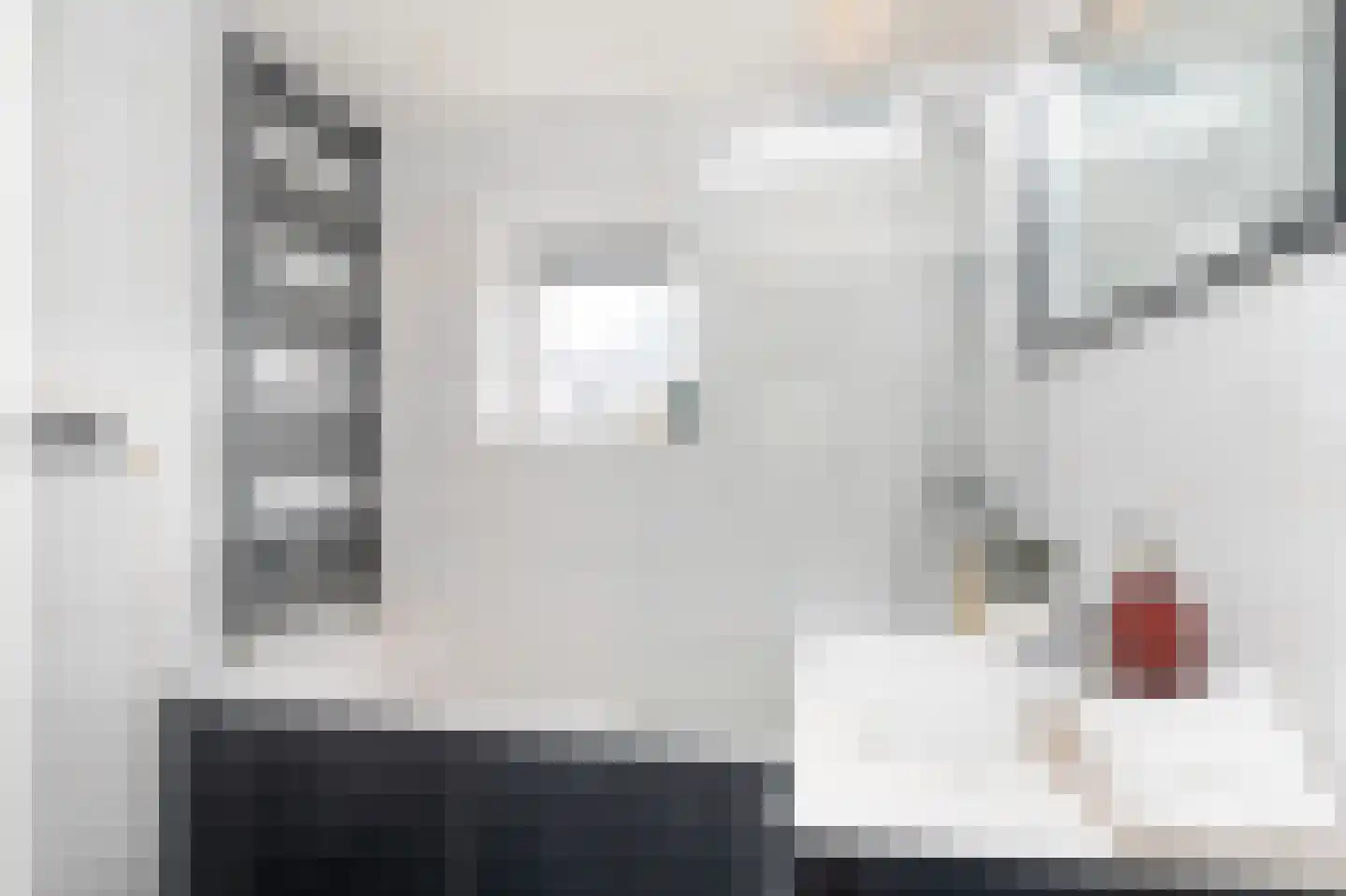 Benjamin Merkelbachstraat 5 Oegstgeest thumbnail 6