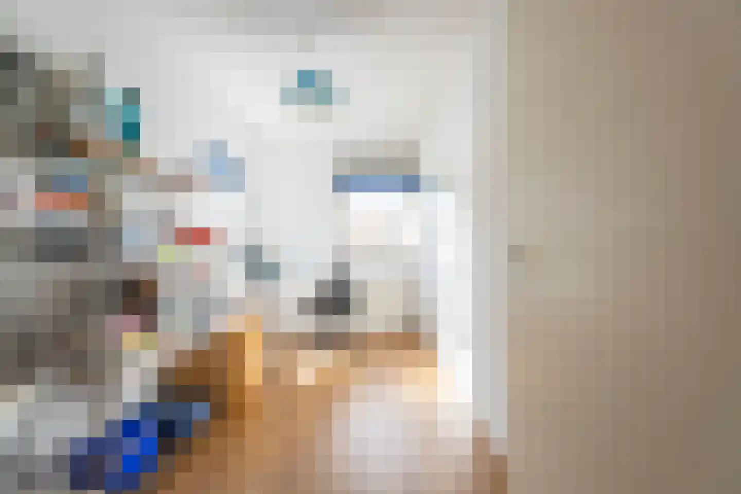 Benjamin Merkelbachstraat 6 Oegstgeest thumbnail 11