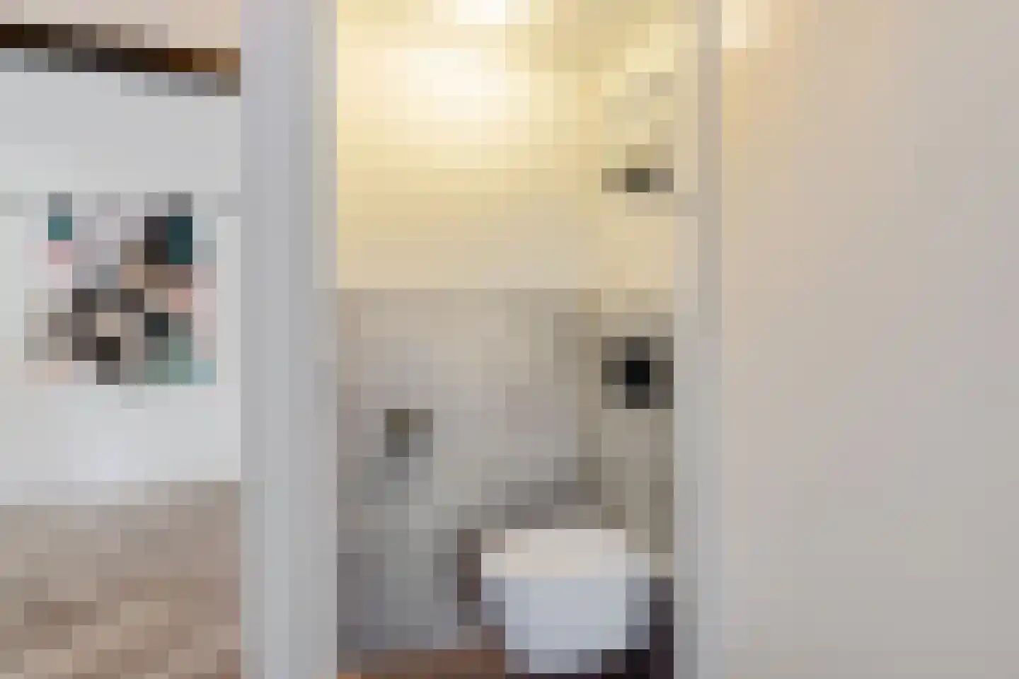 Benjamin Steegengastrjitte 21 Balk thumbnail 15