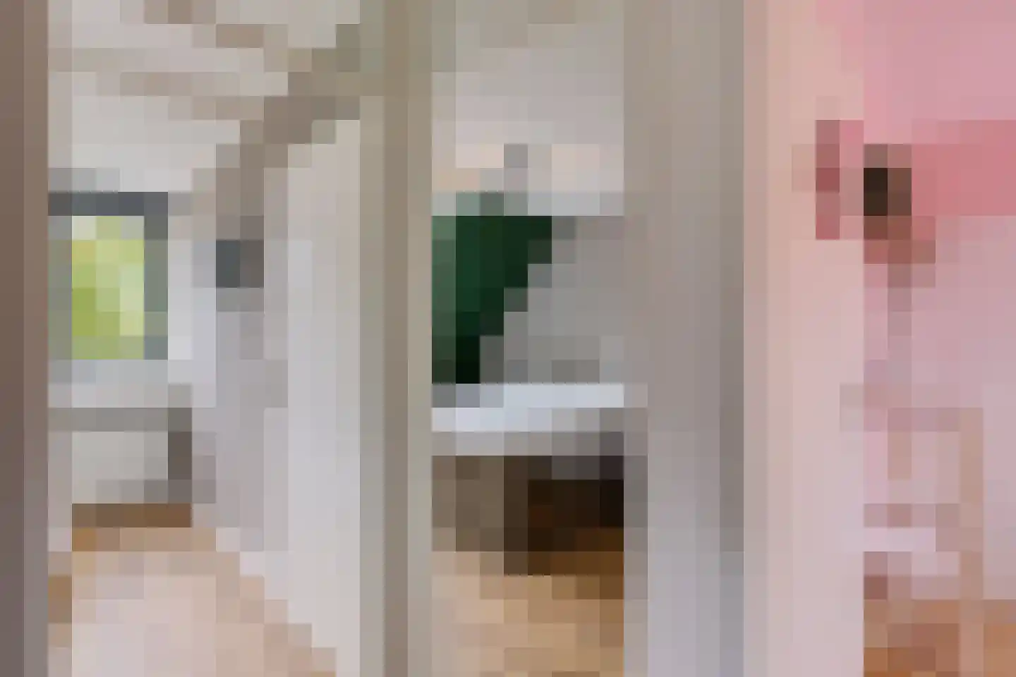 Benjamin Steegengastrjitte 21 Balk thumbnail 18