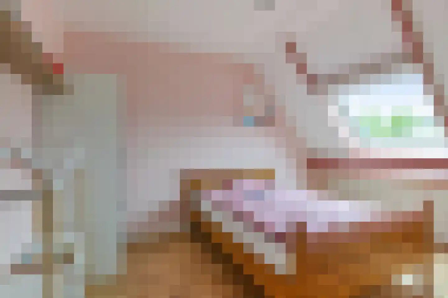 Benjamin Steegengastrjitte 21 Balk thumbnail 22