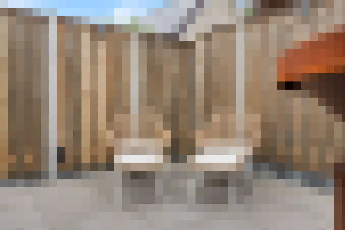 Benjamin Steegengastrjitte 21 Balk thumbnail 35