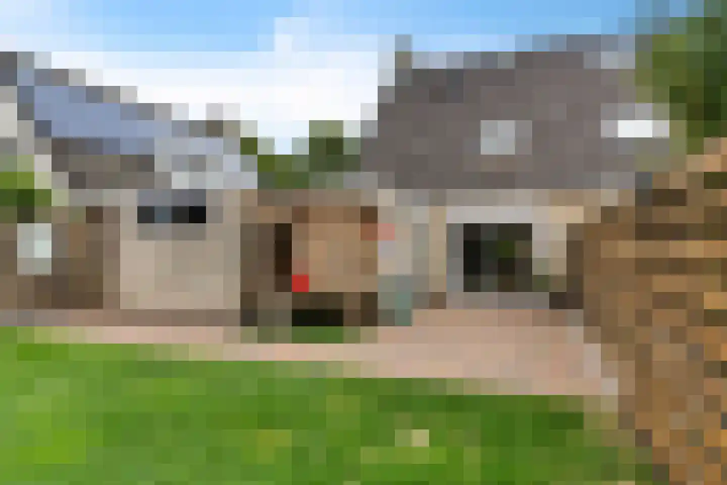 Benjamin Steegengastrjitte 21 Balk thumbnail 37