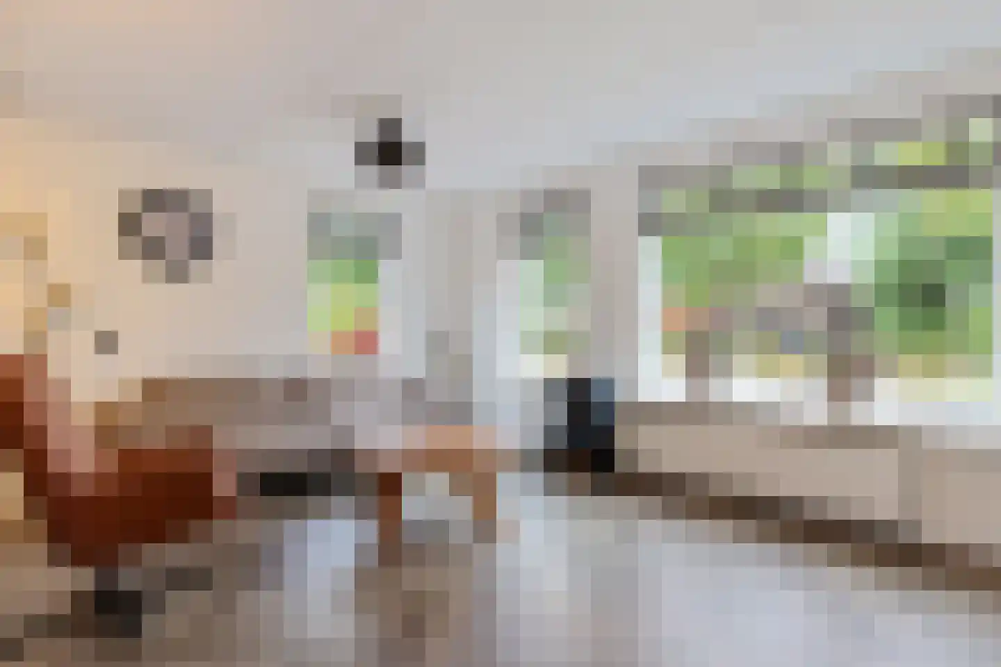Benjamin Steegengastrjitte 21 Balk thumbnail 4