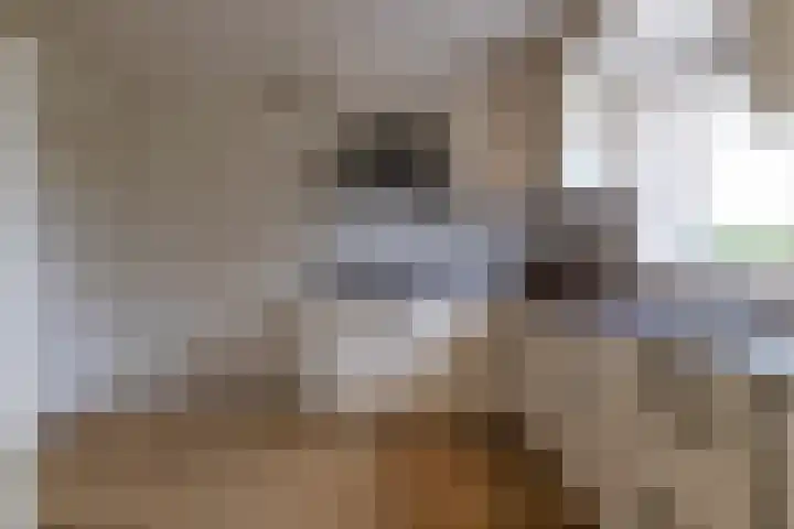 Benjamin Steegengastrjitte 6 Balk thumbnail 15