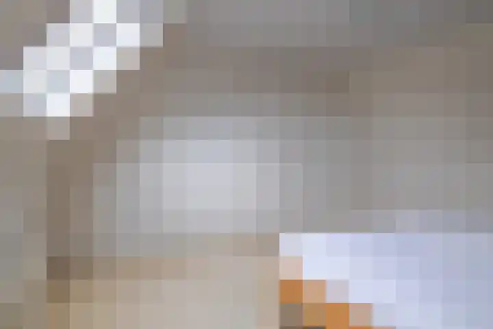 Benjamin Steegengastrjitte 6 Balk thumbnail 26