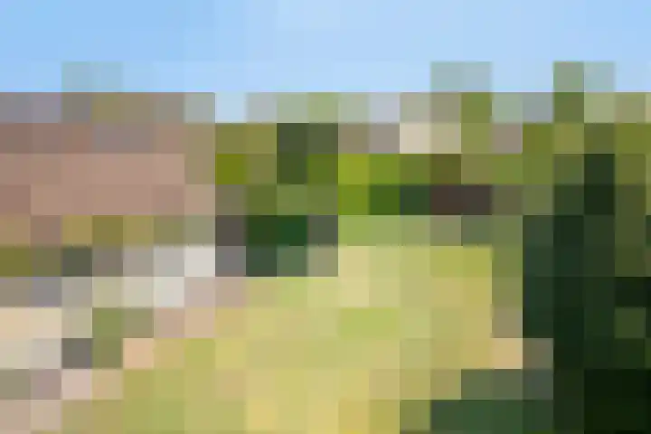 Benjamin Steegengastrjitte 6 Balk thumbnail 30