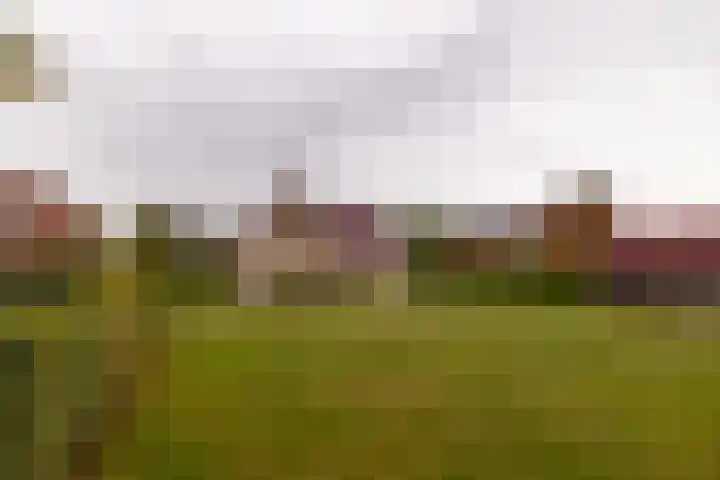 Benjamin Steegengastrjitte 6 Balk thumbnail 39