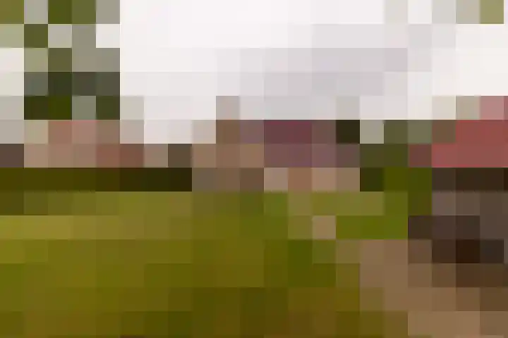Benjamin Steegengastrjitte 6 Balk thumbnail 41