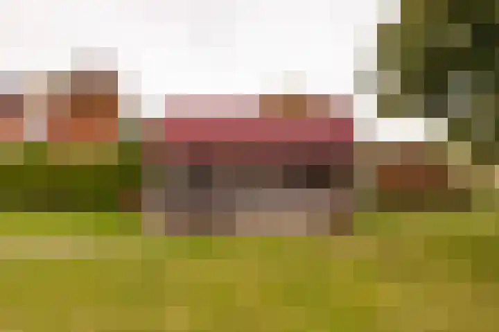 Benjamin Steegengastrjitte 6 Balk thumbnail 42