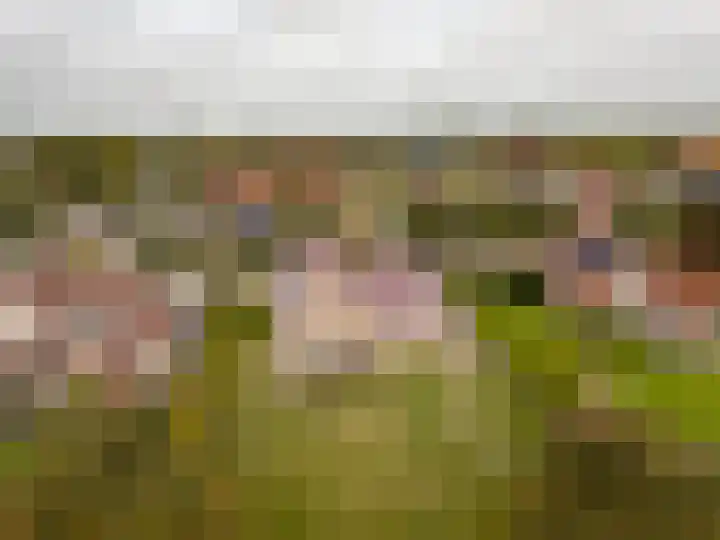 Benjamin Steegengastrjitte 6 Balk thumbnail 45