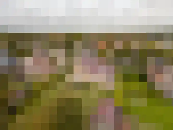 Benjamin Steegengastrjitte 6 Balk thumbnail 46