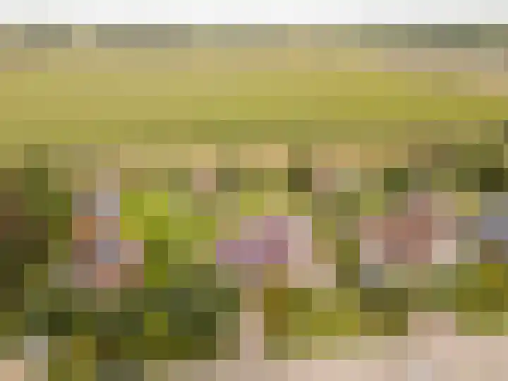 Benjamin Steegengastrjitte 6 Balk thumbnail 5