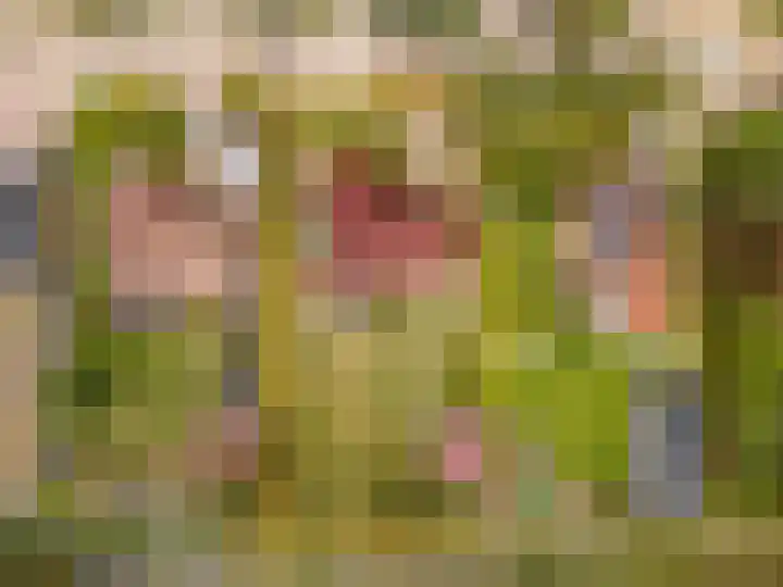 Benjamin Steegengastrjitte 6 Balk thumbnail 6