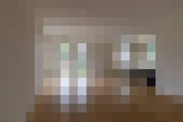 Benjamin Steegengastrjitte 6 Balk thumbnail 9