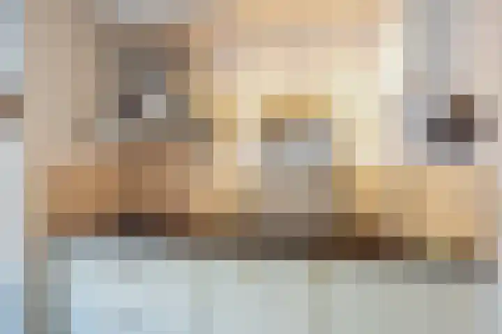 Benkoelenstraat 29 Haarlem thumbnail 22