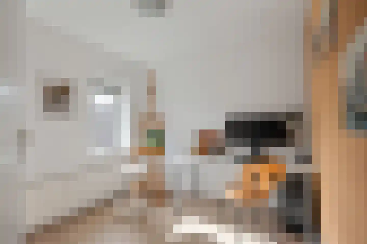 Benkoelenstraat 3 Haarlem thumbnail 20