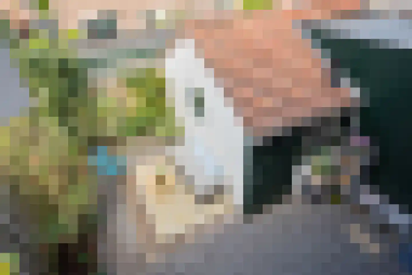 Benkoelenstraat 3 Haarlem thumbnail 32