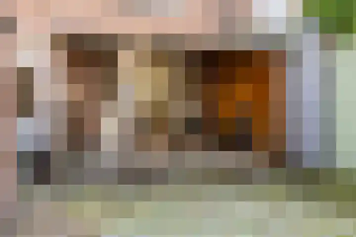 Benkoelenstraat 31 Haarlem thumbnail 14