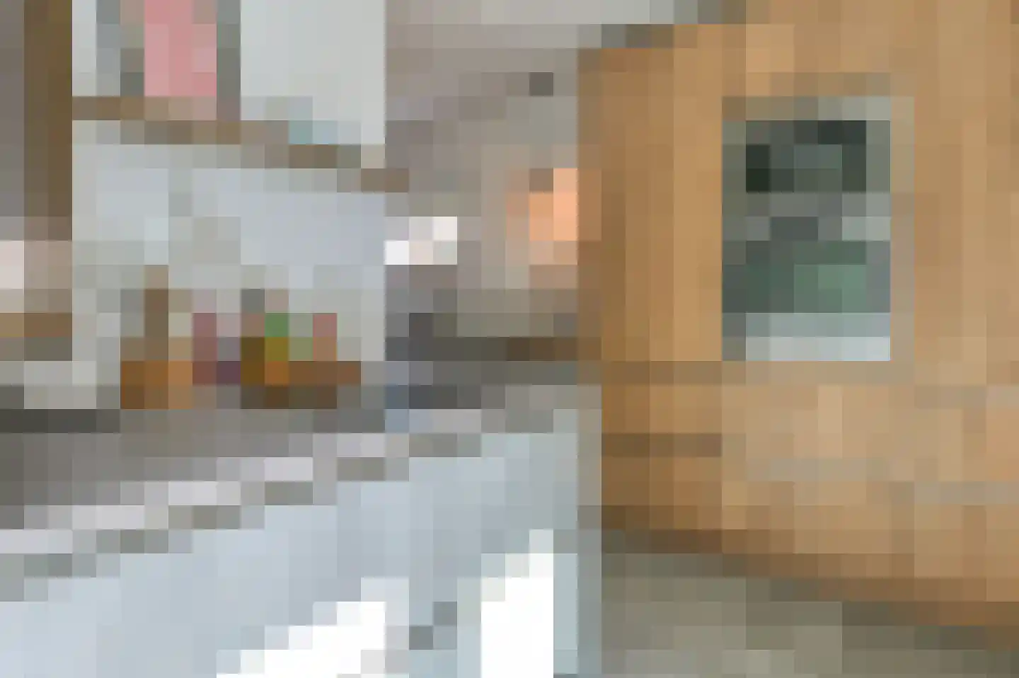 Benkoelenstraat 36 Haarlem thumbnail 8