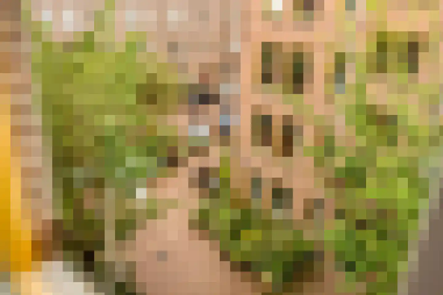 Benkoelenstraat 39 Amsterdam thumbnail 18