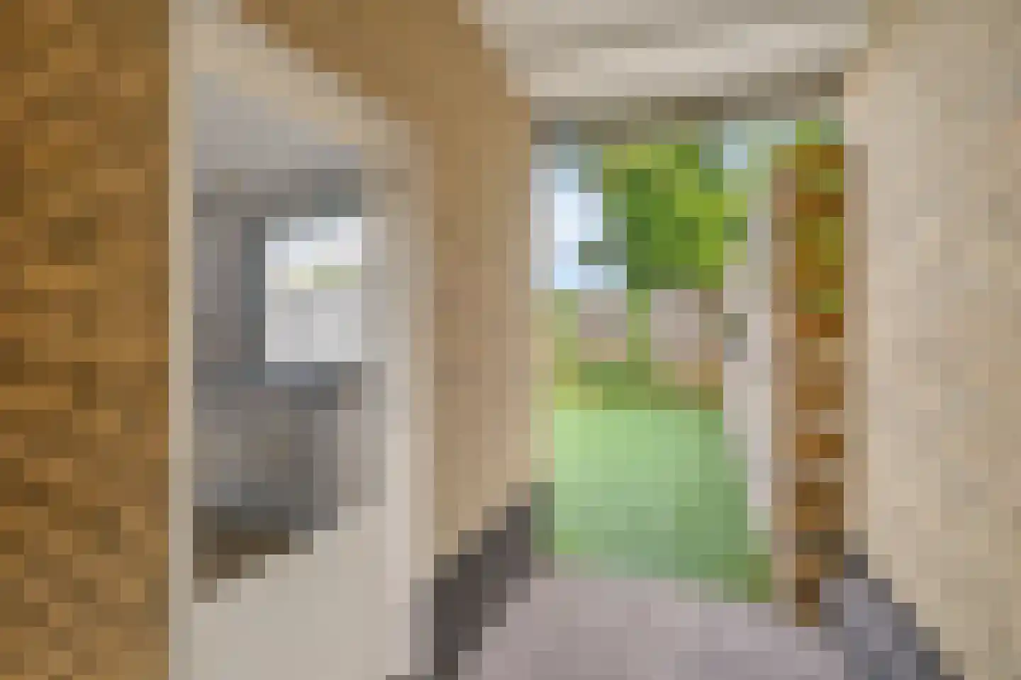 Bennebroekerdijk 18 Zwaanshoek thumbnail 27