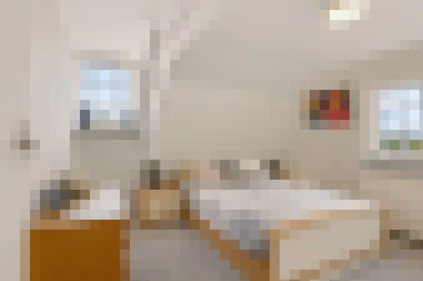 Bennebroekerdijk 18 Zwaanshoek thumbnail 35