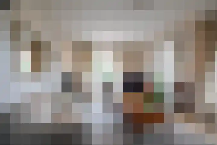 Bennebroekerdijk 250 Cruquius thumbnail 12