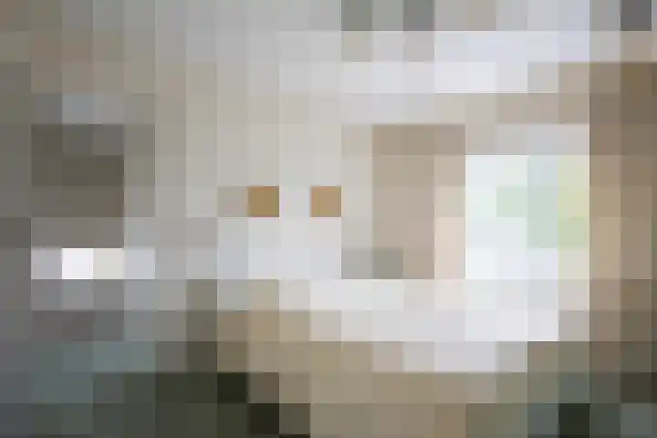 Bennebroekerdijk 250 Cruquius thumbnail 22