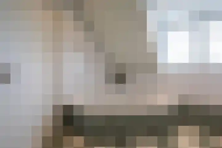 Bennebroekerdijk 250 Cruquius thumbnail 25