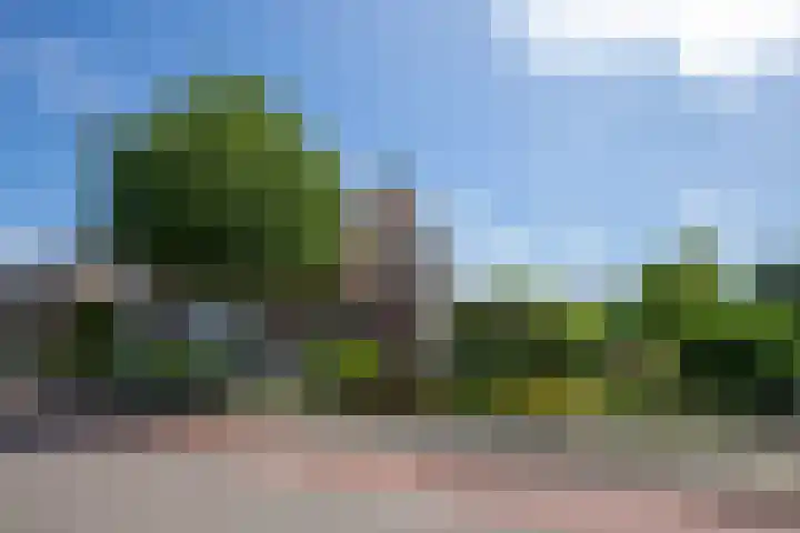 Bennebroekerdijk 250 Cruquius thumbnail 34