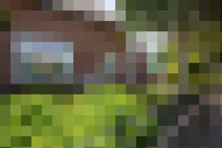 Bennebroekerdijk 250 Cruquius thumbnail 36