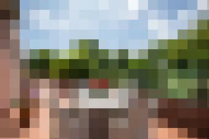 Bennebroekerdijk 250 Cruquius thumbnail 41