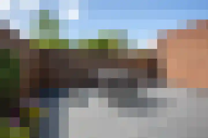 Bennebroekerdijk 250 Cruquius thumbnail 45