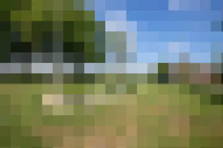 Bennebroekerdijk 250 Cruquius thumbnail 48