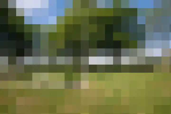 Bennebroekerdijk 250 Cruquius thumbnail 49