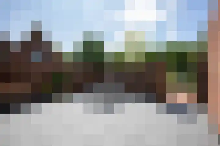 Bennebroekerdijk 250 Cruquius thumbnail 5