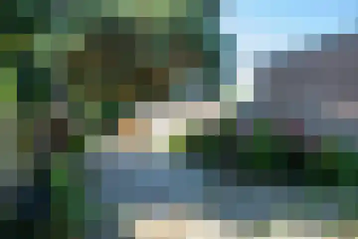 Bennebroekerdijk 256 Cruquius thumbnail 5