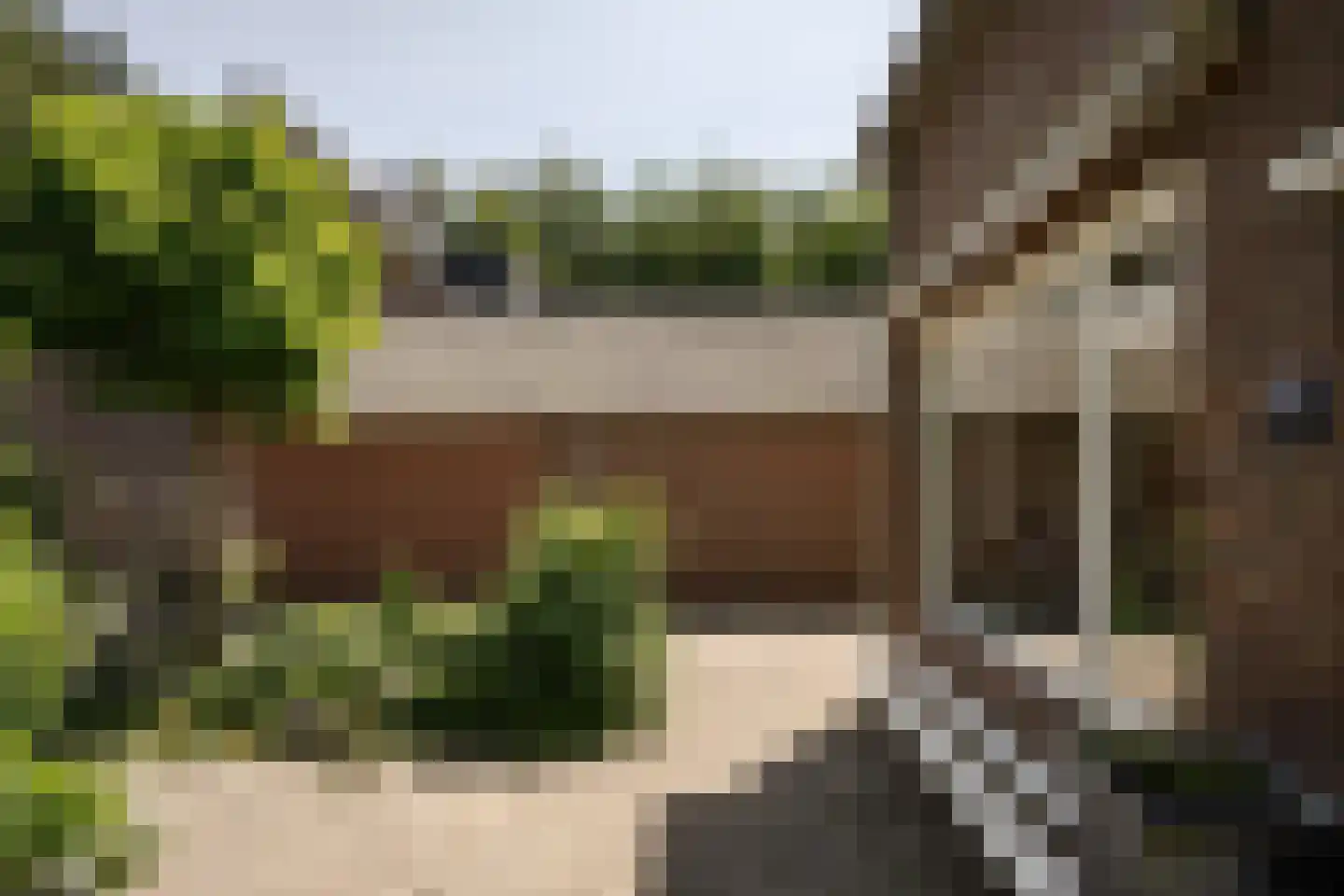 Bennebroekerdijk 267 Cruquius thumbnail 58
